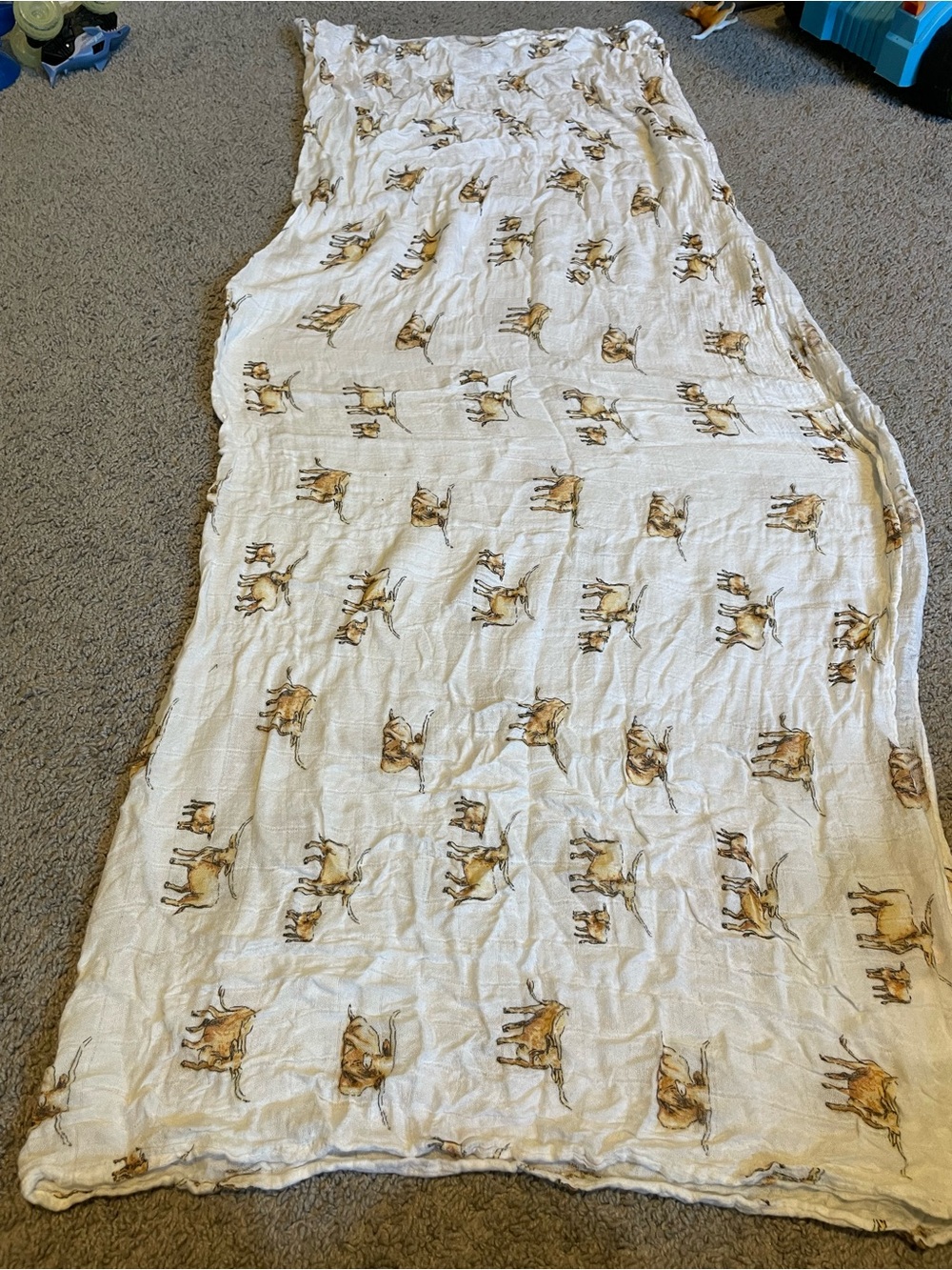 6pc Muslin Swaddle Blanket Bundle Angel Dear PBK Newcastle Western - Picture 4 of 16